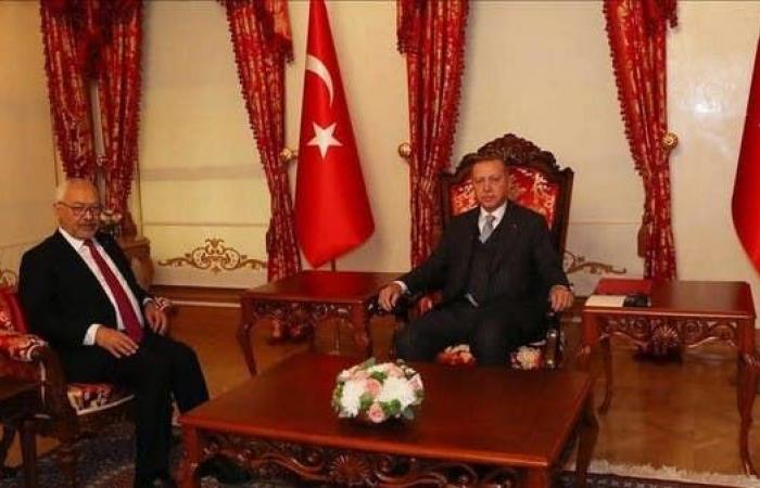 اجتماع غامض بين أردوغان والغنوشي.. وتحركات برلمانية لسحب الثقة