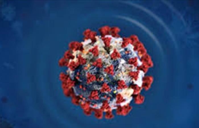 عالمة أحياء: بدأت تنتشر الآن سلالة جديدة شديدة العدوى من الفيروس