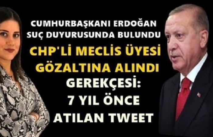 أردوغان يقاضي مراهقة تركية انتقدته قبل 7 سنوات 