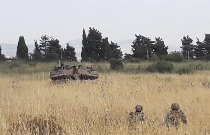 عناصر من القوات الإسرائيلية اجتازوا الخط التقني عند محلة كروم الشراقي خراج ميس الجبل