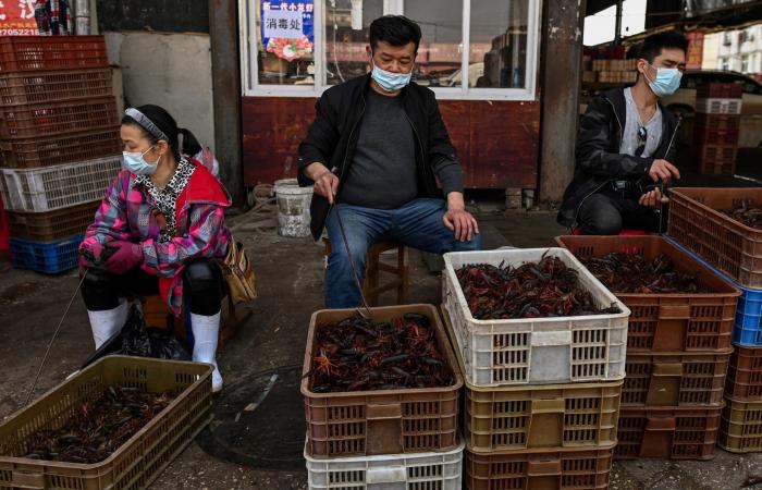 بعد تسريبات الصحة العالمية.. الصين تنفي: لم نتأخر