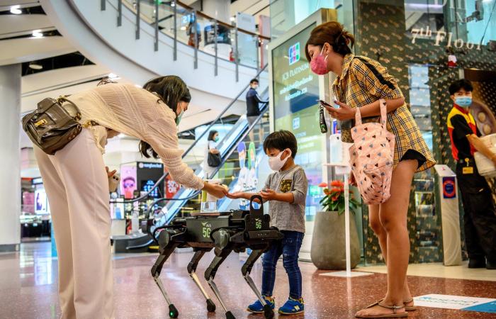 "كلب آلي" يساعد المتبضعين في تايلاند على تعقيم أيديهم