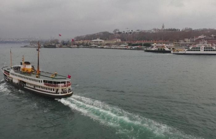 بيرات ألبيرق.. حكاية صعود "صهر القصر" في تركيا 
