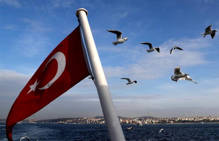 محلل تركي: سياسات أردوغان العدائية سبب الأزمة الاقتصادية