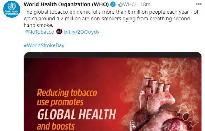 منظمة الصحة العالمية تحذر: التبغ يقتل أكثر من 8 ملايين شخص كل عام