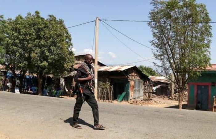 مجلس الأمن يناقش أزمة تيغراي.. وإثيوبيا تؤكد: نطوق عاصمتها