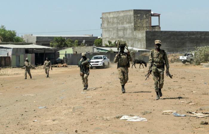 إثيوبيا تعلن استسلام متمردين.. وتيغراي: دمرنا فرقة عسكرية