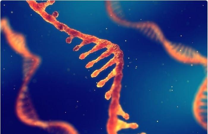 مودرنا تطور 3 لقاحات جديدة بتقنية mRNA ضد الإيدز والإنفلونزا