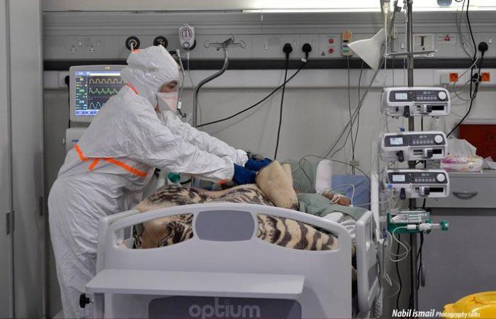الوضع كارثي في مستشفيات طرابلس… لا مكان لأي مصاب بـ”كورونا”
