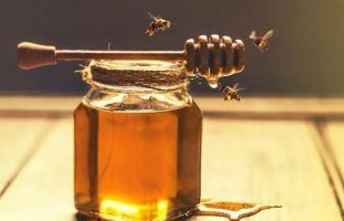 فوائد العسل الأبيض لصحة جسمك وبشرتك