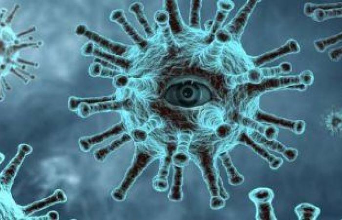 دراسة: المسكنات تقلل الأجسام المضادة اللازمة لمواجهة فيروس كورونا