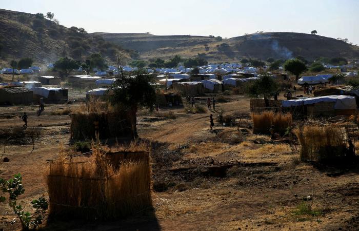 السودان: لا يوجد نزاع حدودي مع إثيوبيا للتفاوض حوله