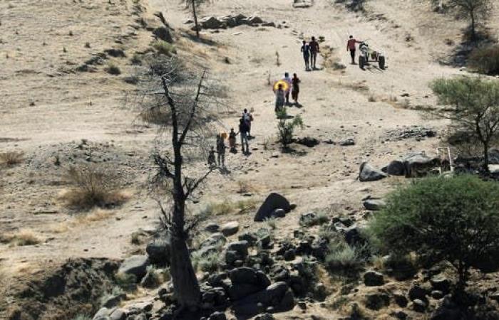 نار على الحدود.. ميليشيا إثيوبية تستهدف مزارعين سودانيين