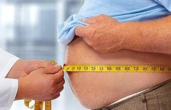 ماهى الدهون الحشوية وكيف تصيبك بالأمراض المزمنة؟ دراسة توضح