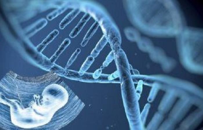 تعرف على تأثير تطور الجينوم البشرى على إصابة الرجال والنساء بالأمراض
