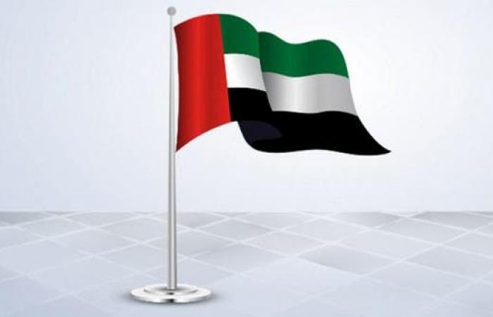 فوز الإمارات و4 دول أخرى بمقاعد في مجلس الأمن