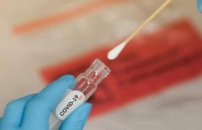 دراسة ألمانية: عدوى كورونا تغير حجم وتصلب خلايا الدم بالجسم