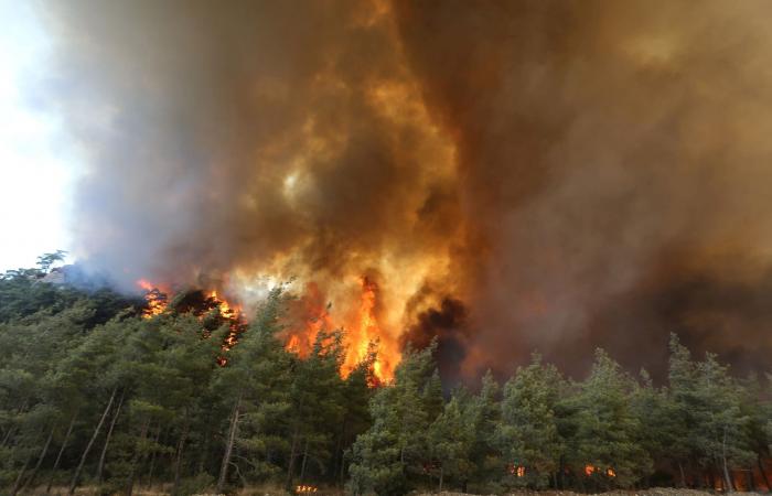 ضحايا حرائق غابات تركيا بارتفاع.. وأردوغان يعلن 4 ولايات "مناطق منكوبة"
