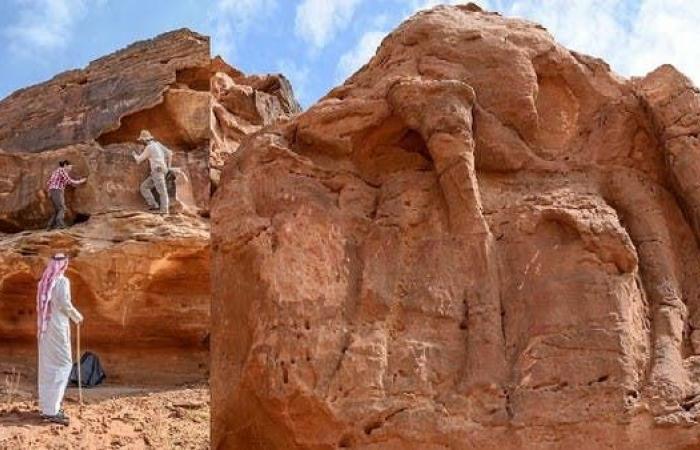 قبائل بالسعودية كانت تنحت الصخور بدقة فنية قبل 8000 عام
