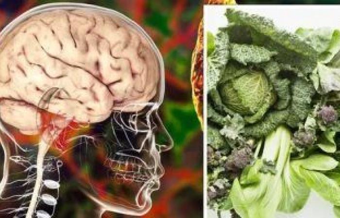 النظام الغذائي"مايند" يقلل خطر الإصابة بالزهايمر ويحافظ على صحة الدماغ
