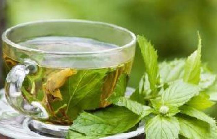 الشاي الأخضر.. الفوائد الصحية والاستخدامات والآثار الجانبية