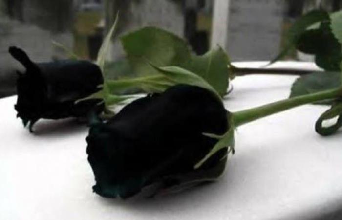 تركيا تشهد ازدهاراً في إنتاج الورود السوداء ذات الرائحة المميزة