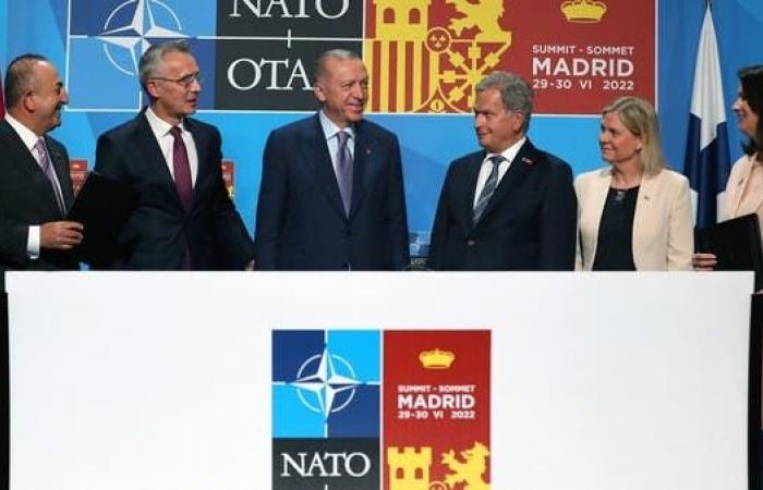 الناتو بعد قرار أنقرة: مزيد من قواتنا على حدود بوتين