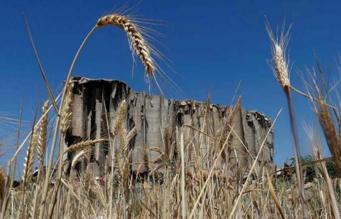 سلام: الجمارك و”الزراعة” تُتابعان قضية الحبوب الأوكرانية المسروقة