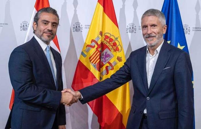 الأمن السيبراني ومكافحة الإرهاب مدار بحث وفد لبناني في إسبانيا
