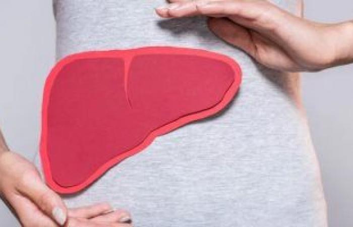 5 أشياء تساعد فى علاج تلف الكبد.. أهمها إنقاص الوزن