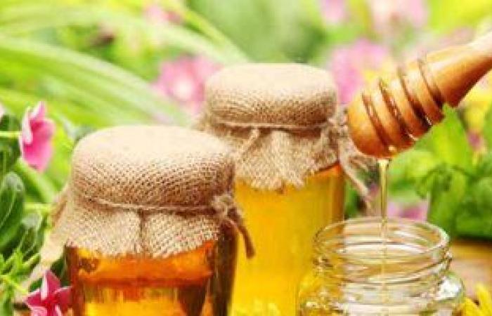 خبيرة أمراض مناعة: مرضى السكر والسمنة ممنوعون من عسل النحل رغم فوائده