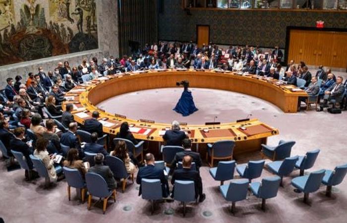 مجلس الأمن يبحث "القضية الفلسطينية" في جلسة الخميس