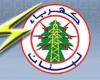 مياومو كهرباء لبنان طالبوا بحماية العمال وإنصافهم