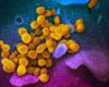 الإمارات: إصابتان جديدتان بفيروس كورونا