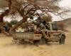 مقتل 120 إرهابيا في عملية عسكرية بالنيجر