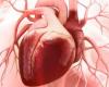 7 نصائح تساعد على تقليل مخاطر الإصابة بأمراض القلب.. اعرف إيه هى "انفوجراف"