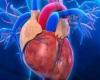 CDC: أمراض القلب تقتل 655 ألف أمريكى سنويا.. وزيادة وفيات 2020 بسبب كورونا