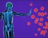 ماذا يحدث لمناعة جسمك بعد الإصابة بـ فيروس كورونا؟