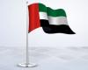 فوز الإمارات و4 دول أخرى بمقاعد في مجلس الأمن