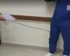 طبيب مصري يظهر في فيديو وهو يأمر ممرضا بالسجود لكلبه