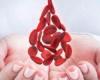 دراسة هندية تحدد فصائل الدم المعرضة لخطر الإصابة بكورونا