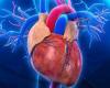 الذكاء الاصطناعي يساعد فى تقييم وتحسين نتائج زراعة القلب