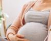 للحامل.. احذري تناول الكركديه يؤثر على دماغ الجنين